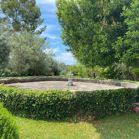 Casa Da Eira - Villas De Campo Ferreira do Zêzere Eksteriør bilde